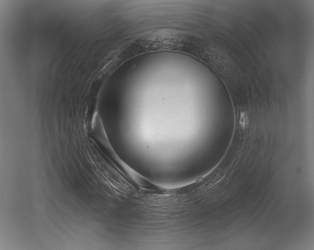 X0000053020771200507081325
