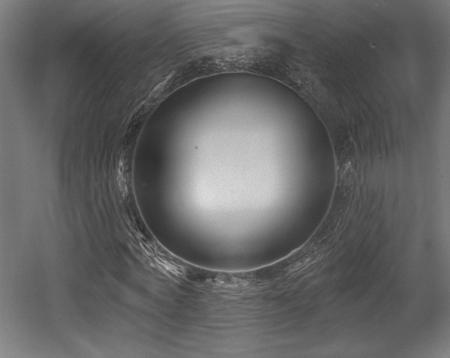 X0000053020772200507081325