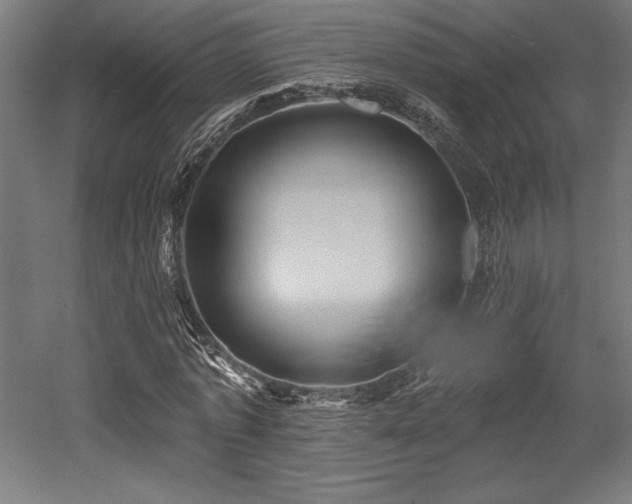 X0000053020773200507081325
