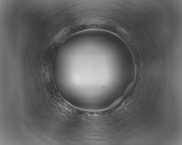 X0000053020774200507081325