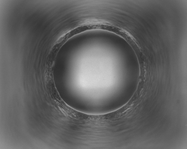 X0000053020775200507081325