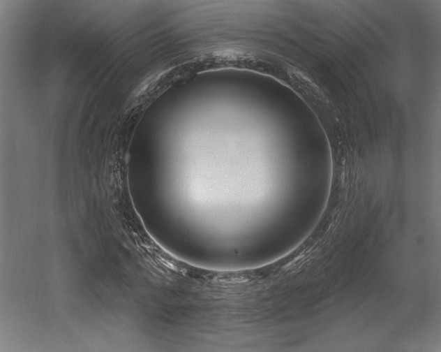 X0000053020776200507081325