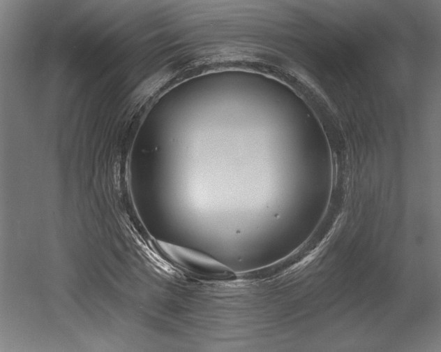 X0000053020777200507081325