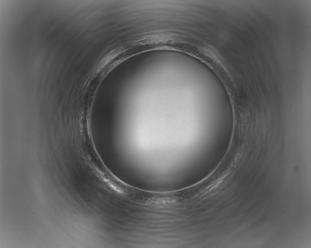 X0000053020778200507081325