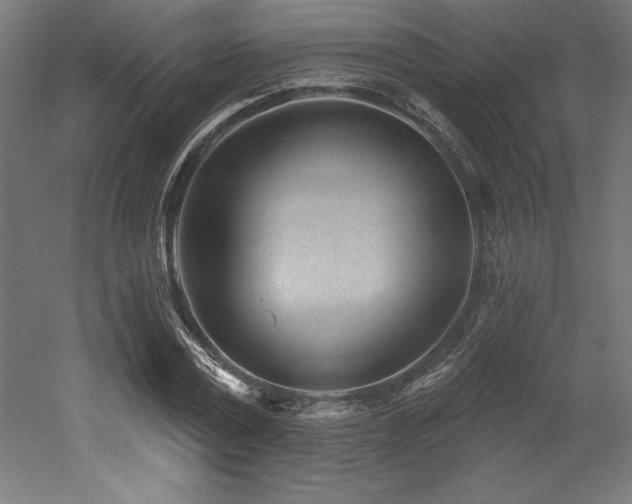 X0000053020779200507081325