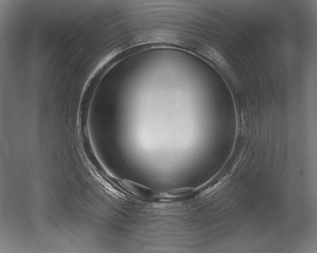 X0000053020780200507081325