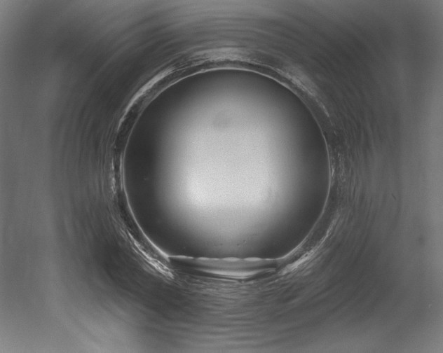 X0000053020782200507081325