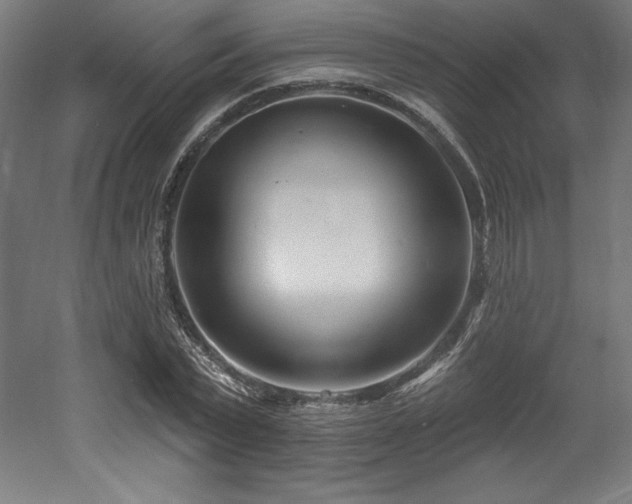 X0000053020783200507081325
