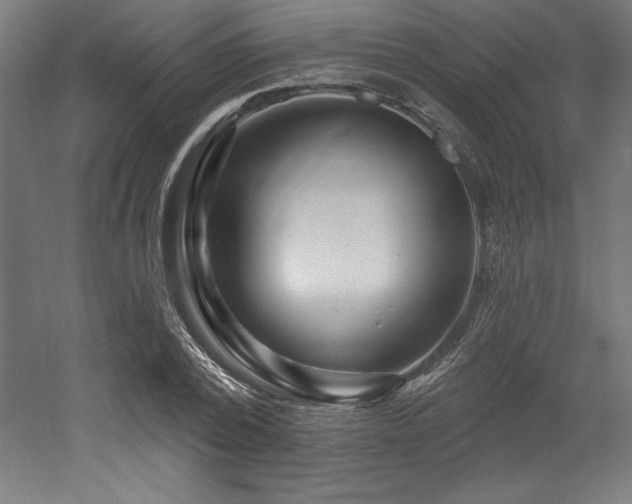 X0000053020784200507081325