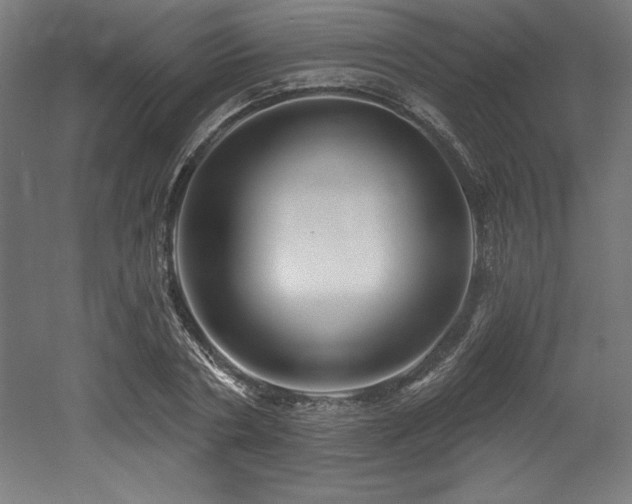 X0000053020786200507081325
