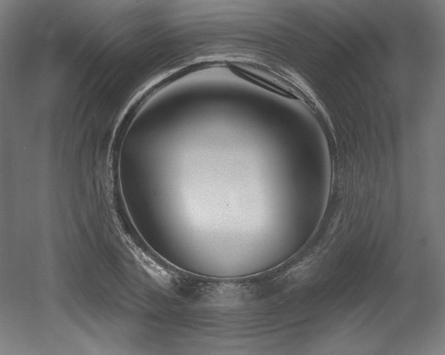 X0000053020787200507081325