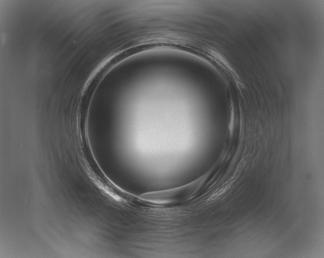 X0000053020788200507081325