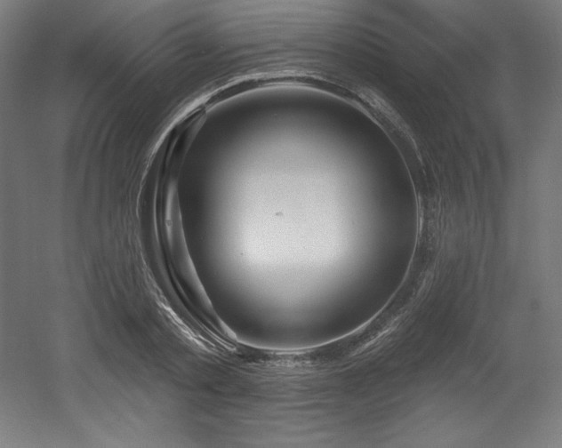 X0000053020789200507081325