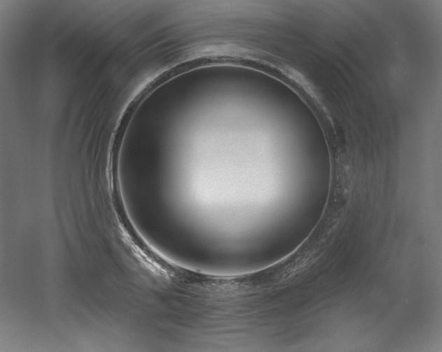 X0000053020791200507081325