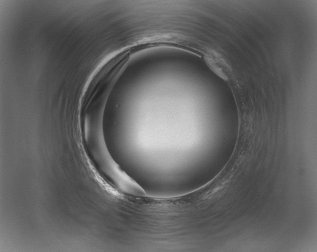 X0000053020792200507081325