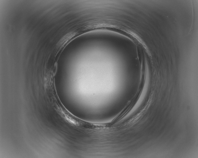 X0000053020793200507081324