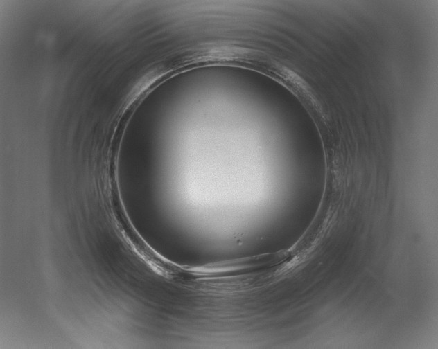 X0000053020794200507081324