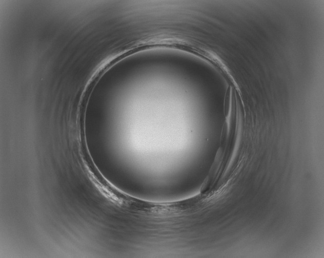 X0000053020795200507081324