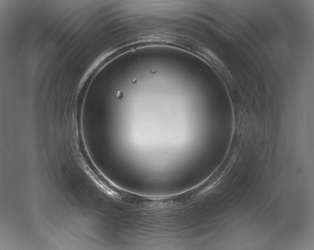 X0000053020796200507081324