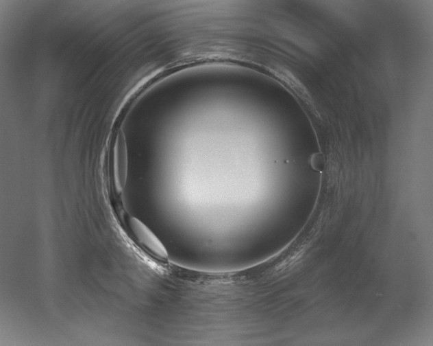X0000053020798200507081324