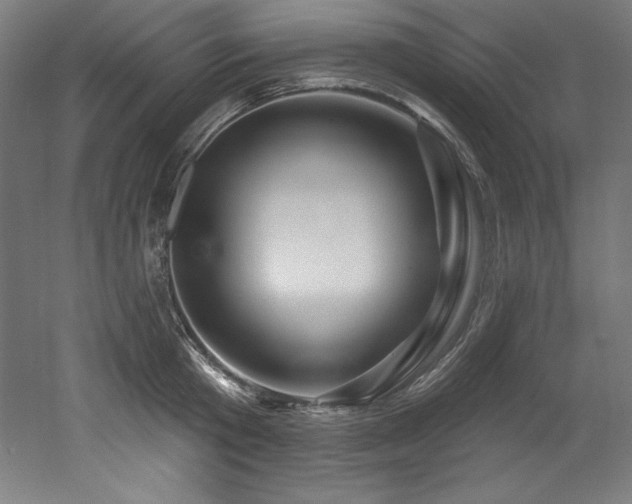 X0000053020801200507081324