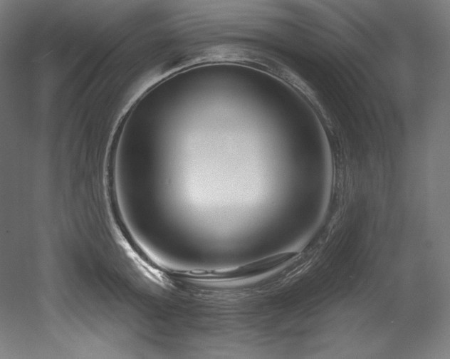 X0000053020803200507081324