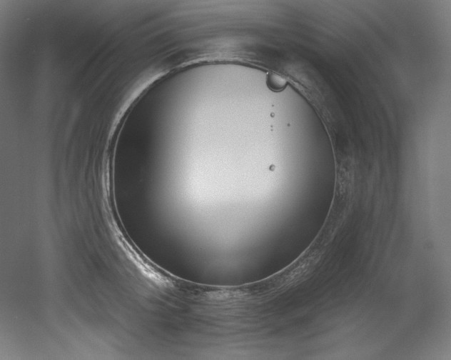 X0000053020804200507081324