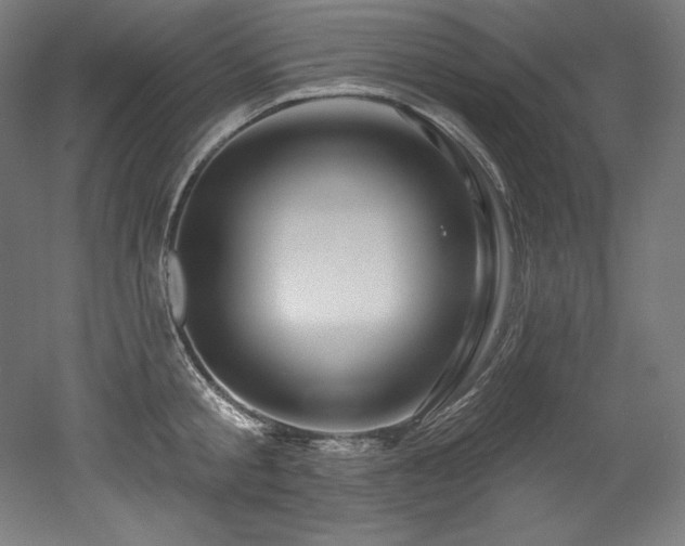 X0000053020805200507081324