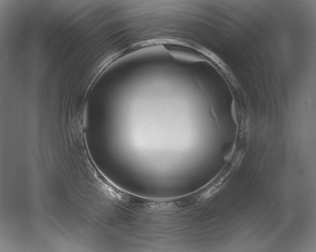 X0000053020809200507081324