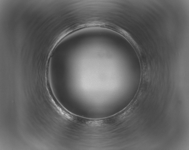 X0000053020810200507081324