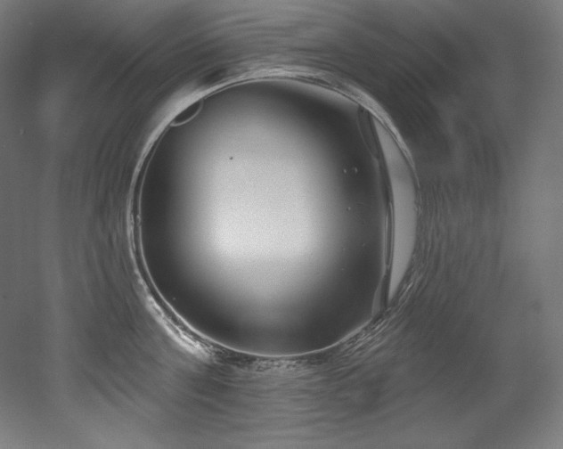 X0000053020811200507081324