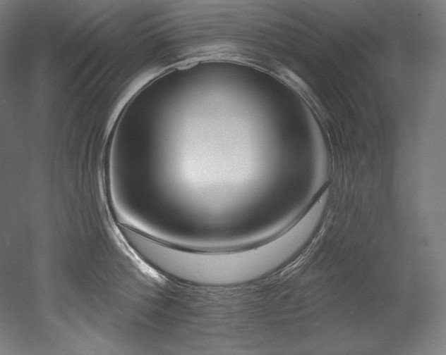 X0000053020812200507081324
