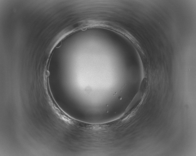 X0000053020814200507081324