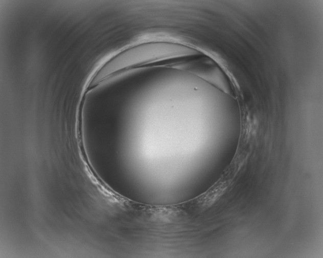 X0000053020815200507081324