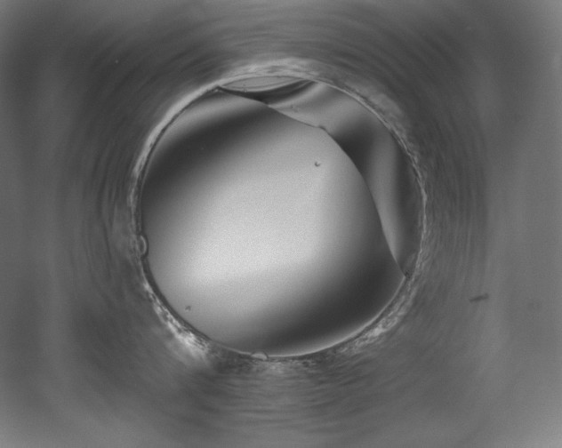 X0000053020816200507081324