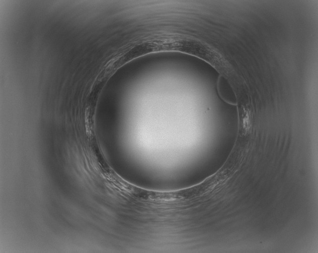 X0000053020819200507081323
