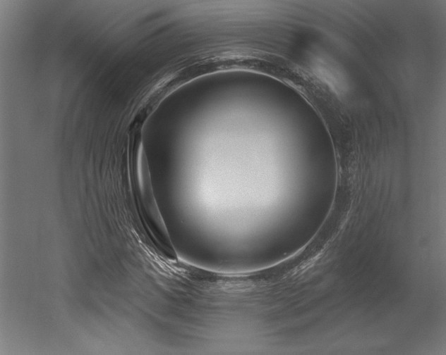X0000053020825200507081323