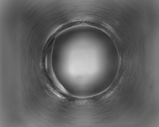 X0000053020826200507081323