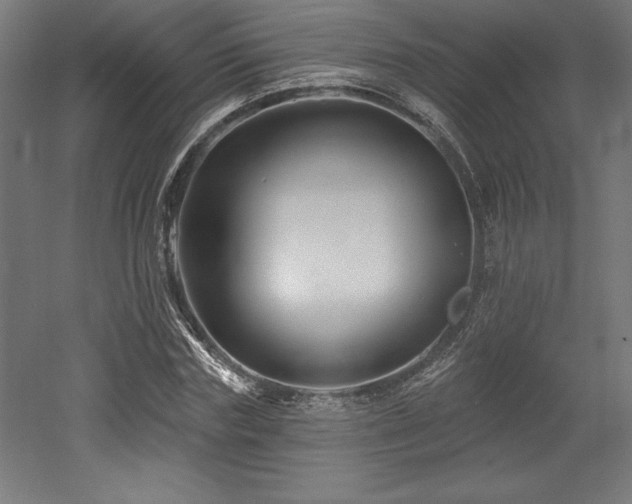 X0000053020827200507081323