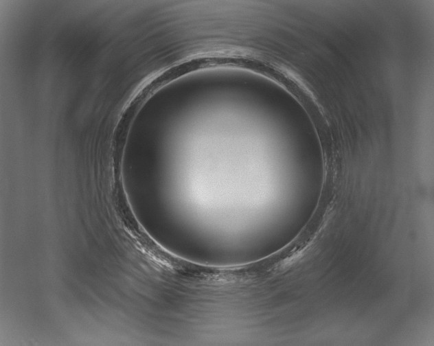 X0000053020829200507081323