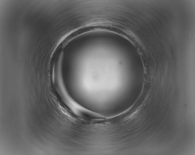 X0000053020830200507081324