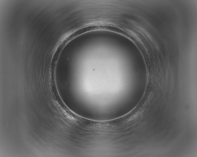 X0000053020831200507081324