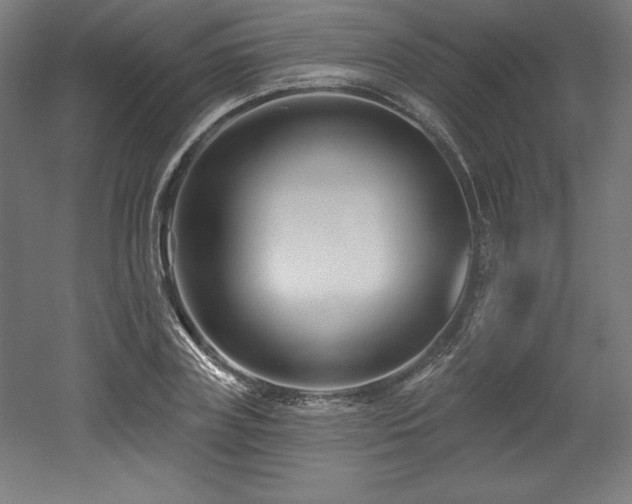 X0000053020835200507081324