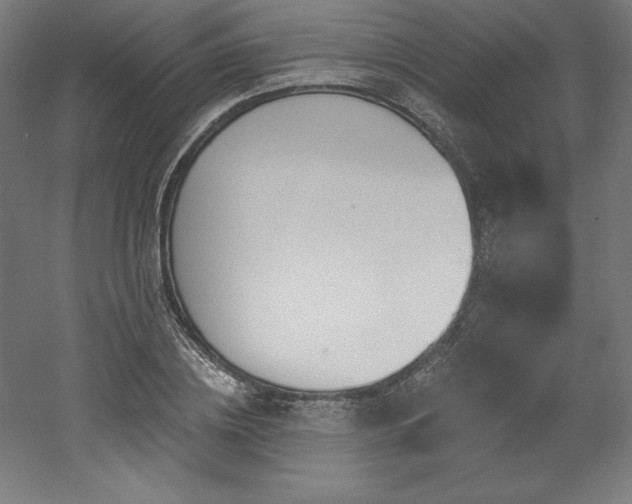 X0000053020836200507081324