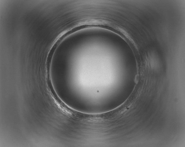 X0000053020837200507081324