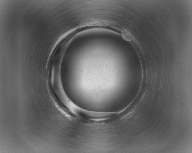 X0000053020838200507081324