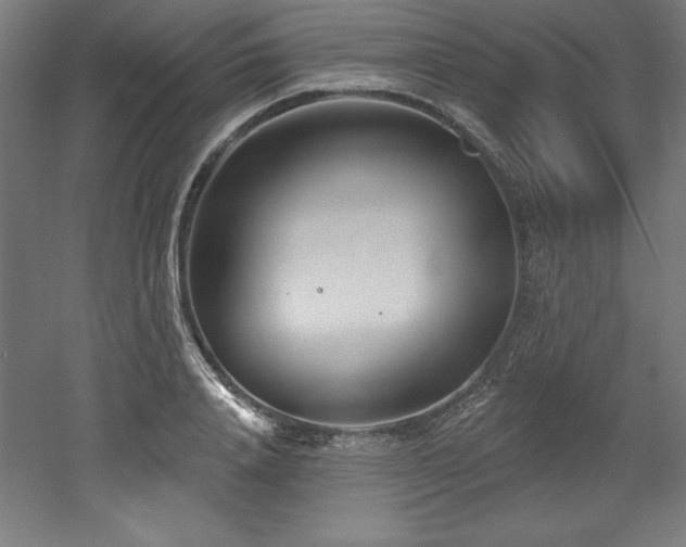 X0000053020840200507081324