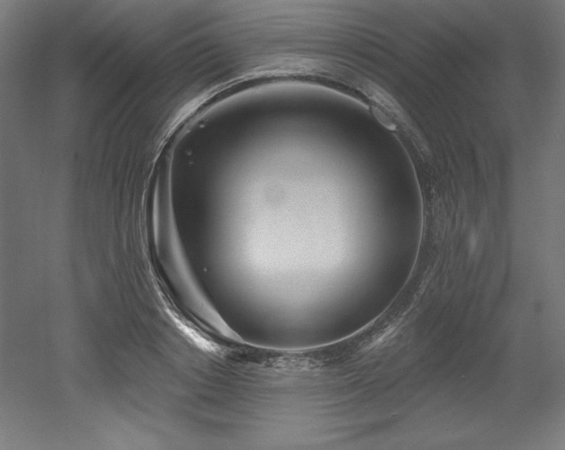X0000053020842200507081324