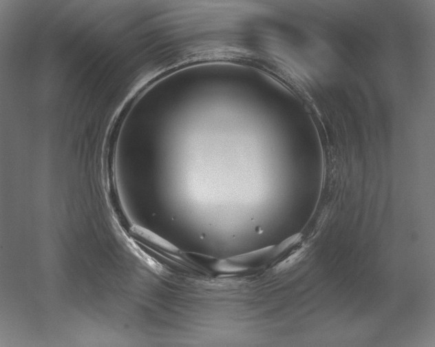 X0000053020843200507081324