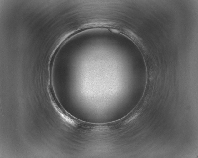 X0000053020844200507081324